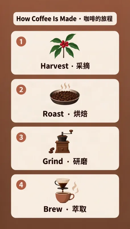 Bilingual coffee infographic with four numbered steps, made with MOSS-Image